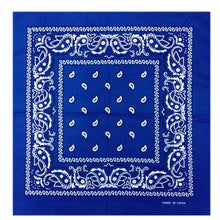 Load image into Gallery viewer, Outdoor Bandana Square Scarf - Astrata Trial Store
