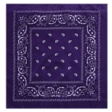 Load image into Gallery viewer, Outdoor Bandana Square Scarf - Astrata Trial Store
