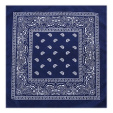 Load image into Gallery viewer, Outdoor Bandana Square Scarf - Astrata Trial Store
