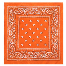 Load image into Gallery viewer, Outdoor Bandana Square Scarf - Astrata Trial Store
