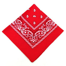 Load image into Gallery viewer, Chiffon Neck Mask Women Scarf Fashion Print Hair Tie Flower Striped Headkerchief Summer Sunscreen Headwear Scarve - Astrata Trial Store
